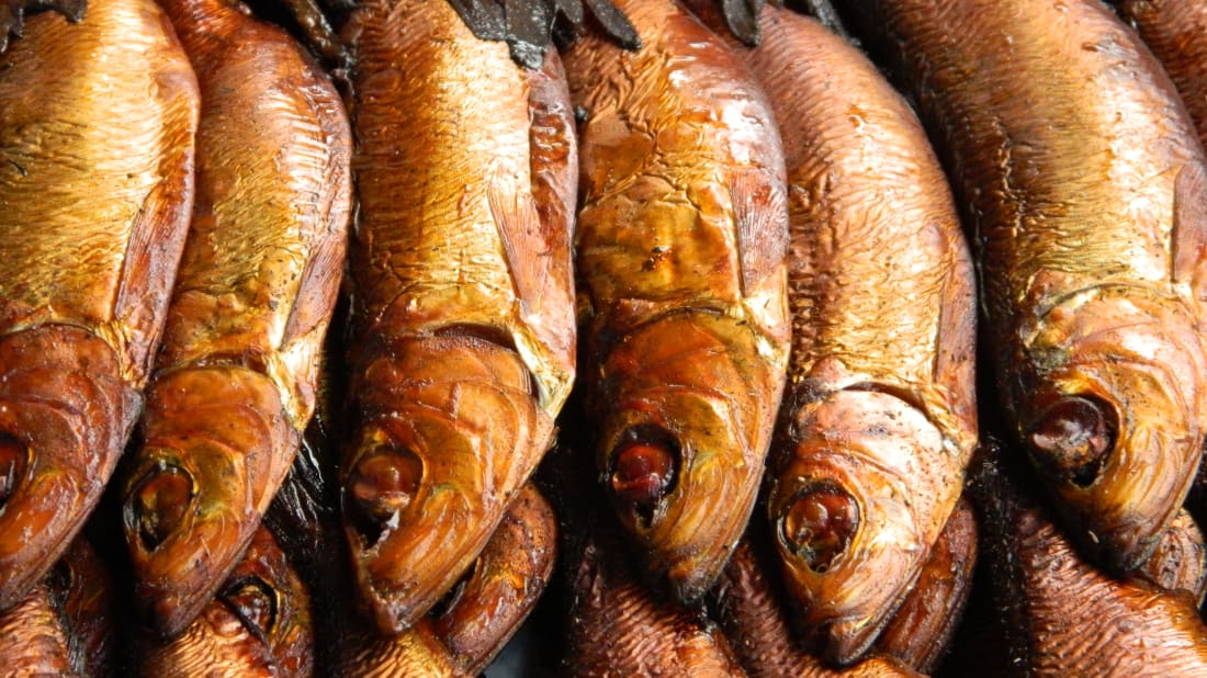 korrekt Ny ankomst Akkumulering Fishing for red herrings – Bertha Harian